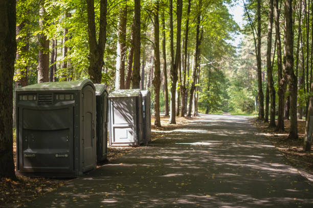 Best Emergency Tree Removal  in Oyster Creek, TX